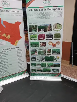 Offers on Rollup Banners Printing