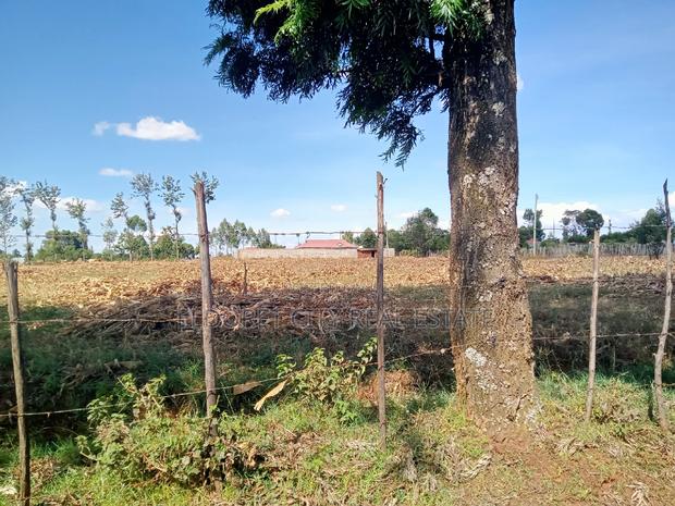 4 Acres Chebarus Ilula With Title. - thumbnail 2