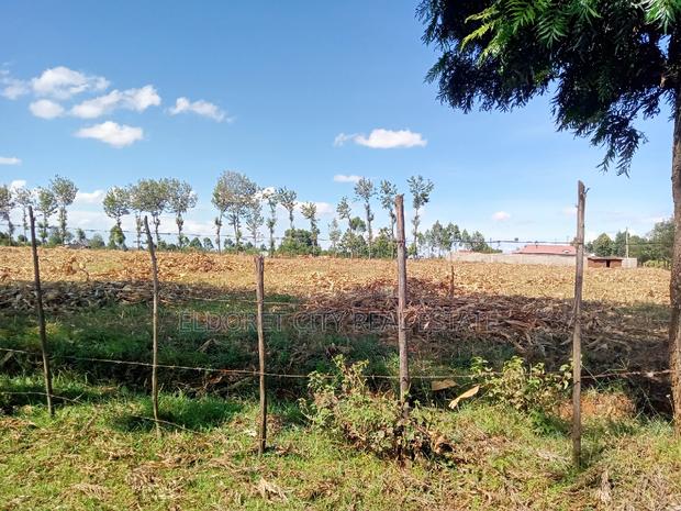4 Acres Chebarus Ilula With Title. - thumbnail 3