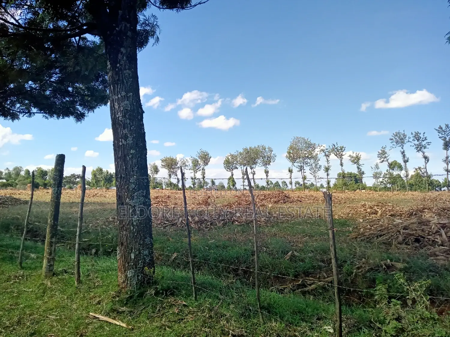 4 Acres Chebarus Ilula With Title.