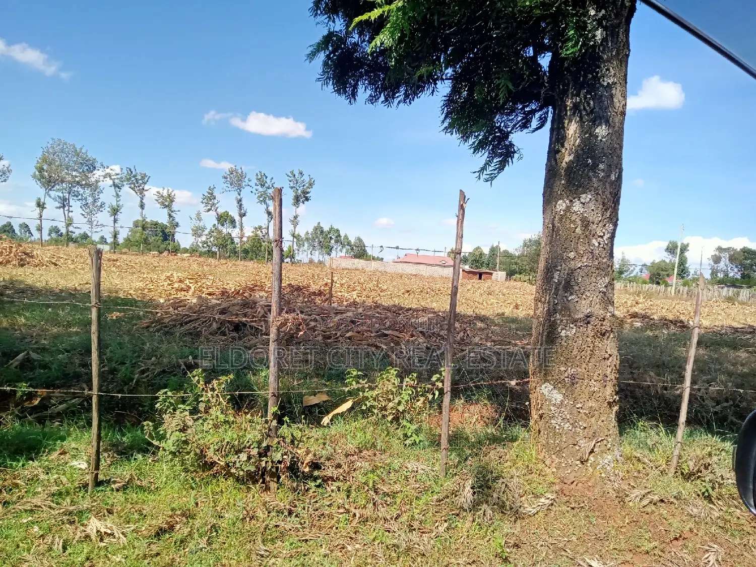 4 Acres Chebarus Ilula With Title.