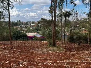 Prime 0.05ha Residential Plot for Sale in Kikuyu,Gikambura.