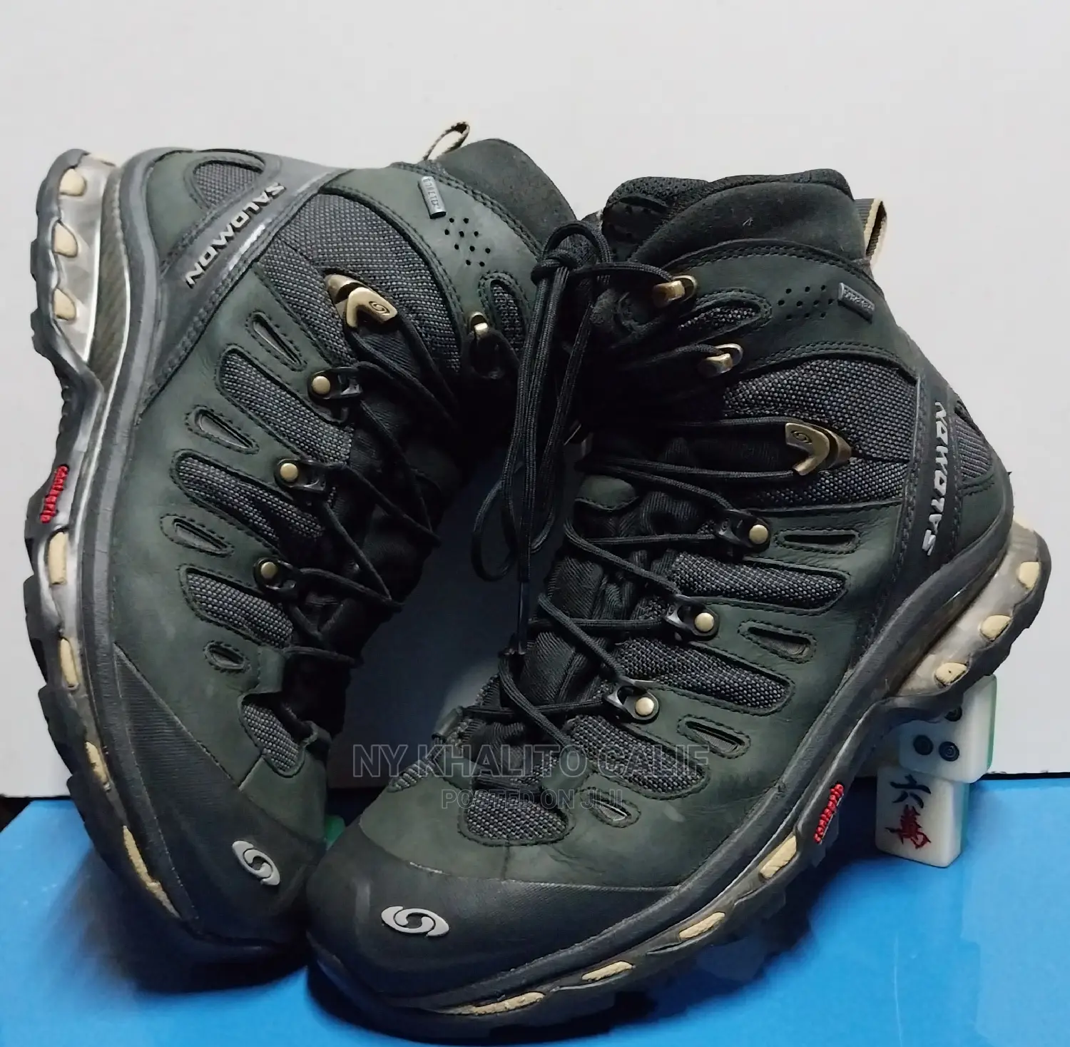 Hiking Shoes