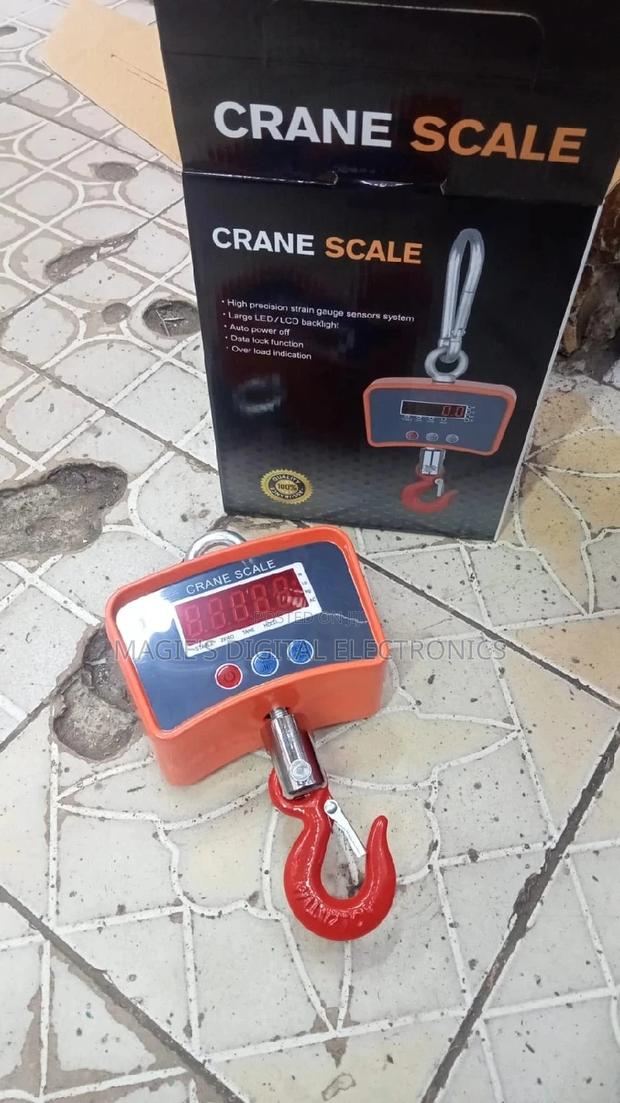 Crane Scale 500kgs