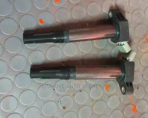 Ignition Coils for Passo Ngc30.