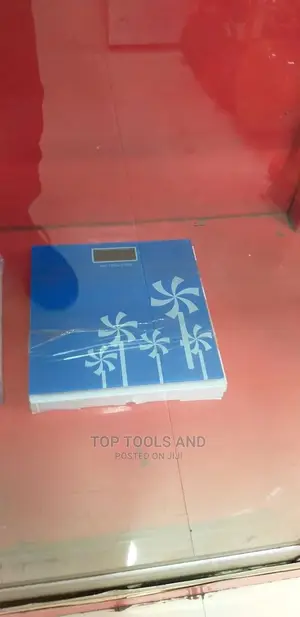 Electronic Personal Scale