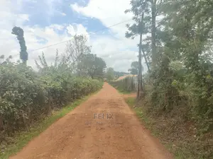 Karatina / Wariruta 50/100 Plots