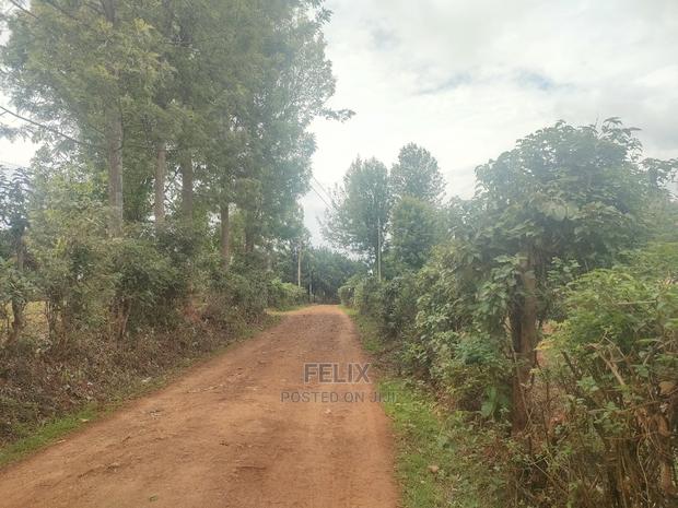 Karatina / Wariruta 50/100 Plots - thumbnail 4