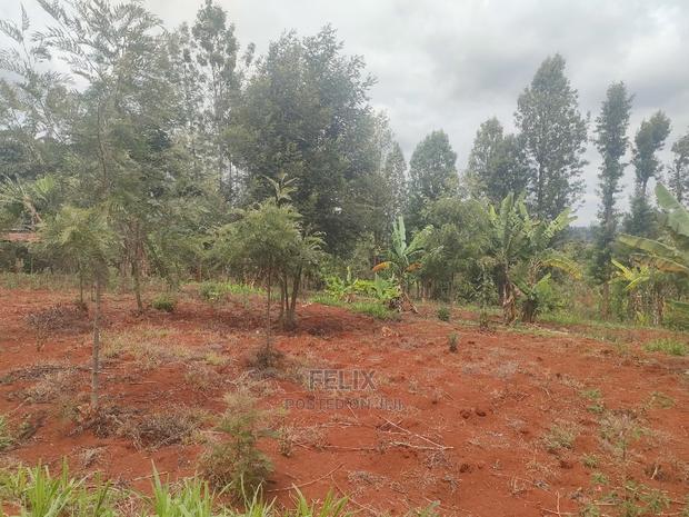 Karatina / Wariruta 50/100 Plots - thumbnail 5