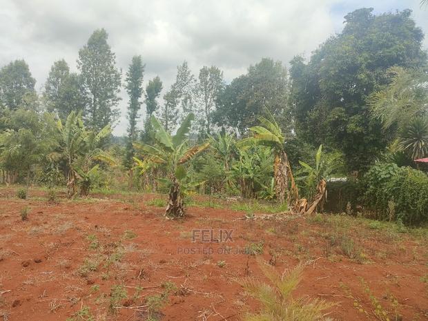 Karatina / Wariruta 50/100 Plots - thumbnail 6
