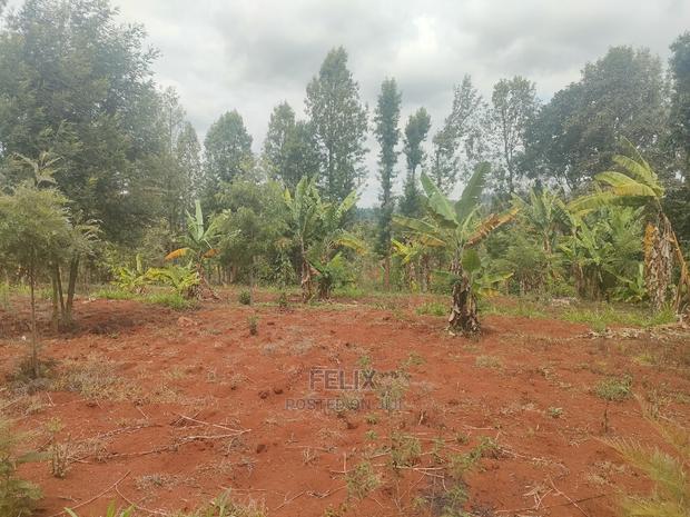 Karatina / Wariruta 50/100 Plots - thumbnail 7