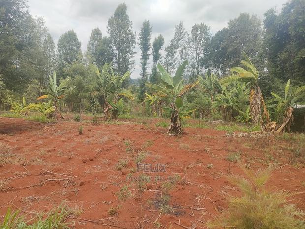 Karatina / Wariruta 50/100 Plots - thumbnail 8
