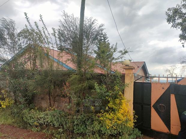 Nyeri/Skuta 3 Bedroomed House - thumbnail 13