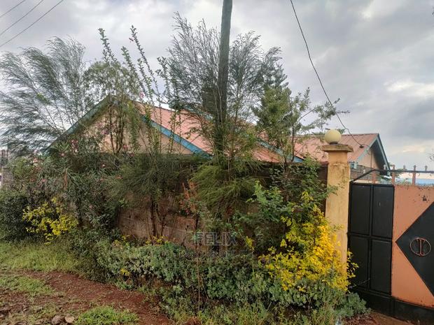 Nyeri/Skuta 3 Bedroomed House - thumbnail 12