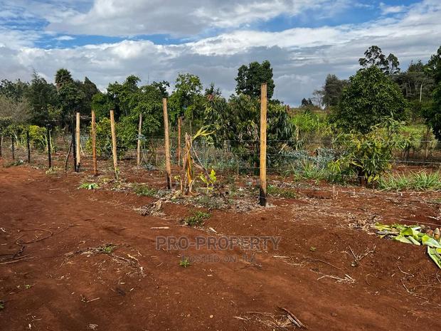 Prime Fenced Residential Plot for Sale in Kikuyu, Kamangu. - thumbnail 6