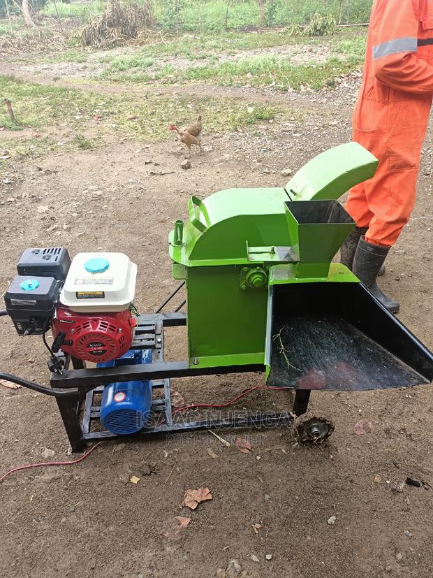 Animal Feeds Chopper - thumbnail 4