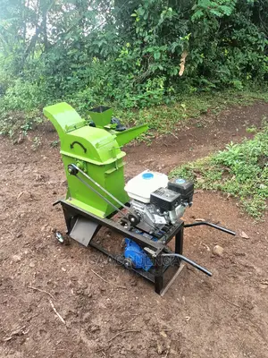 Animal Feeds Chopper