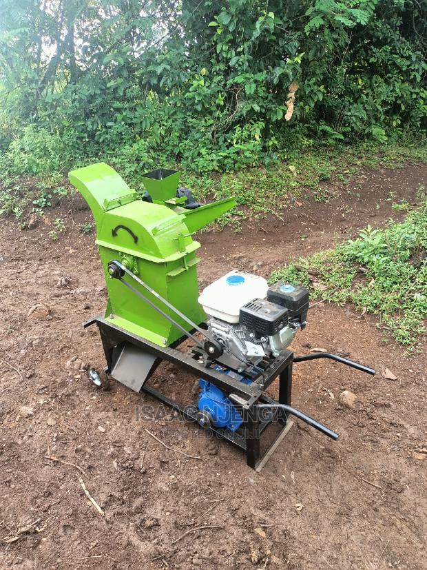 Animal Feeds Chopper - thumbnail 5