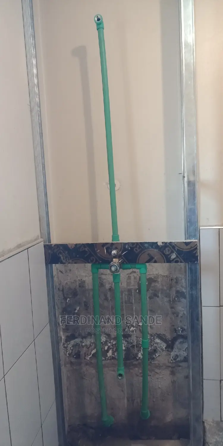 Professional Plumber