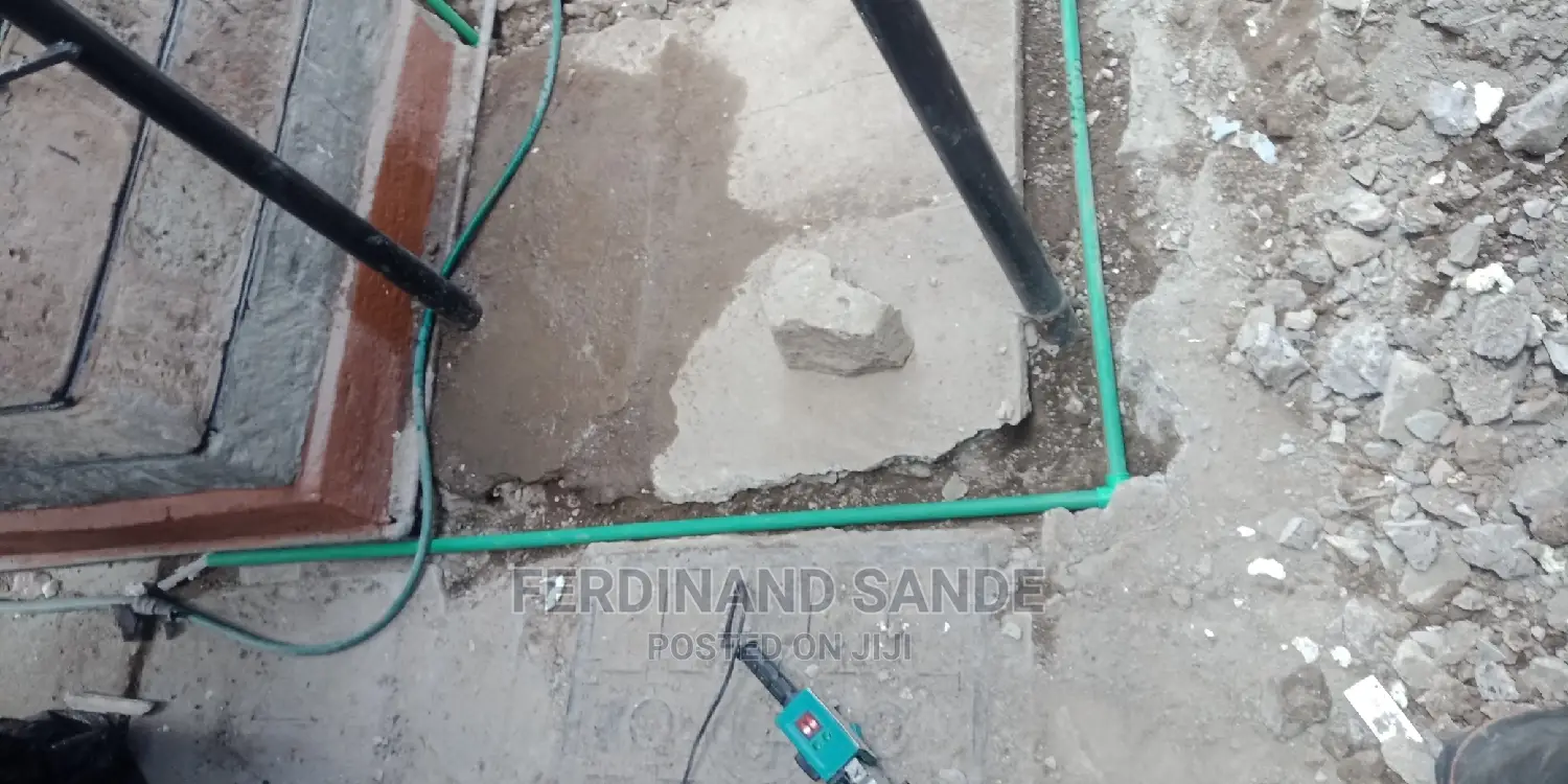 Professional Plumber