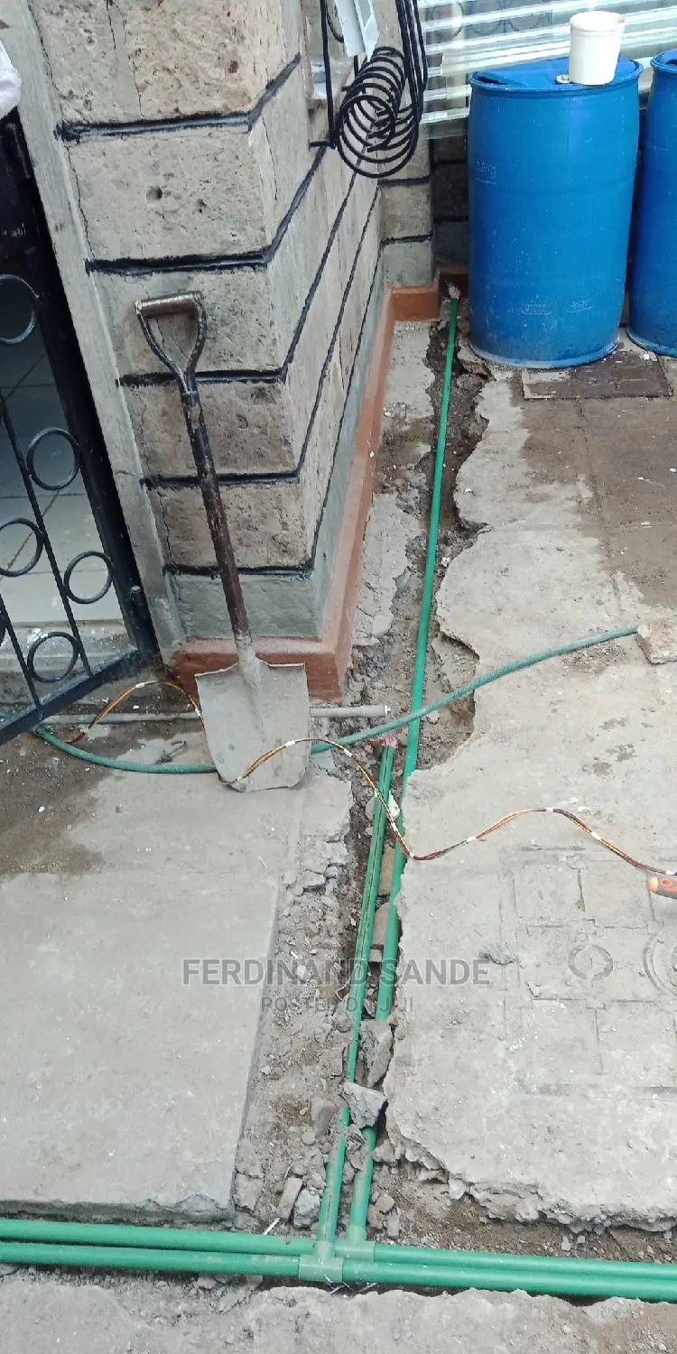 Professional Plumber