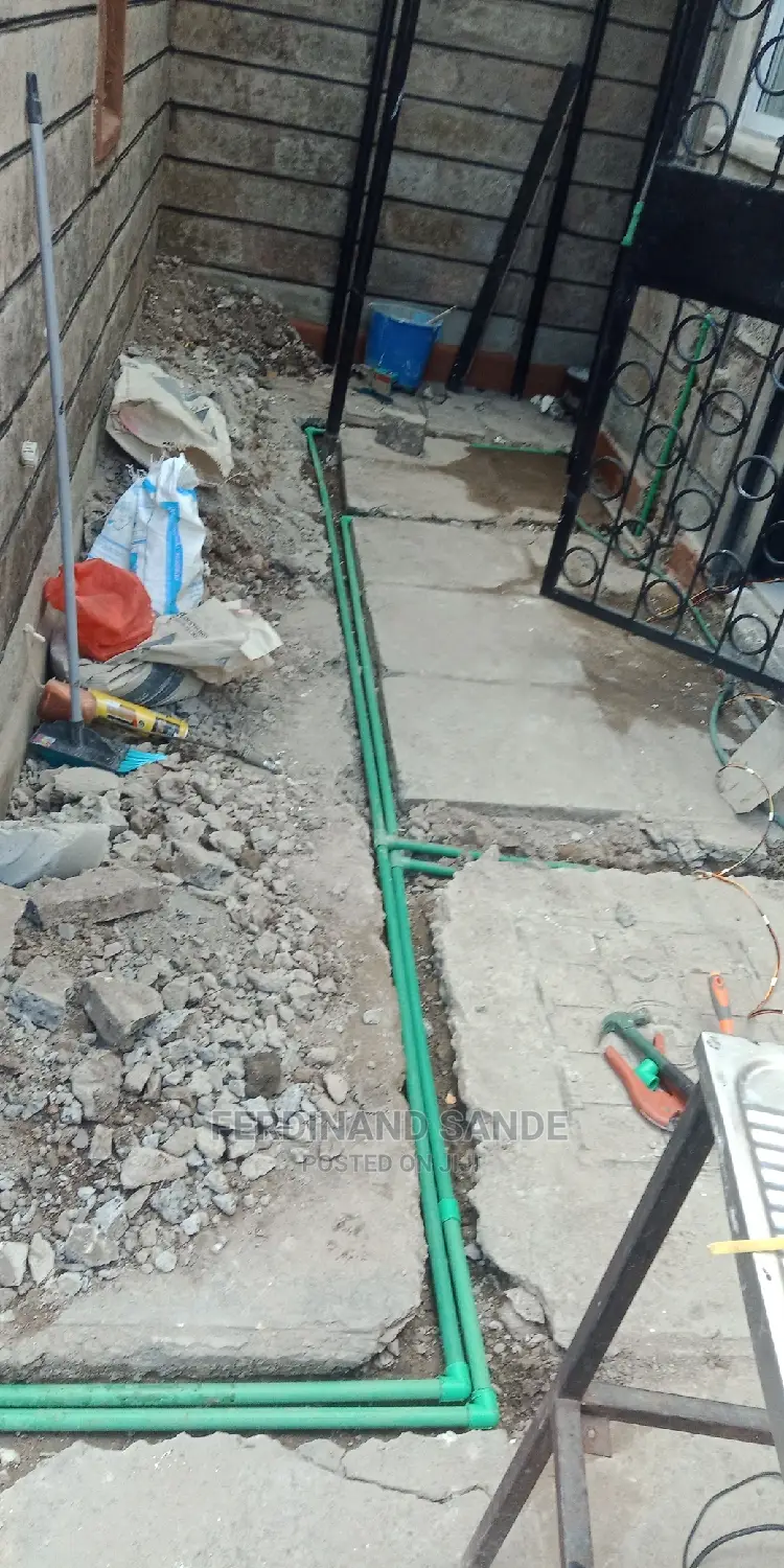 Professional Plumber