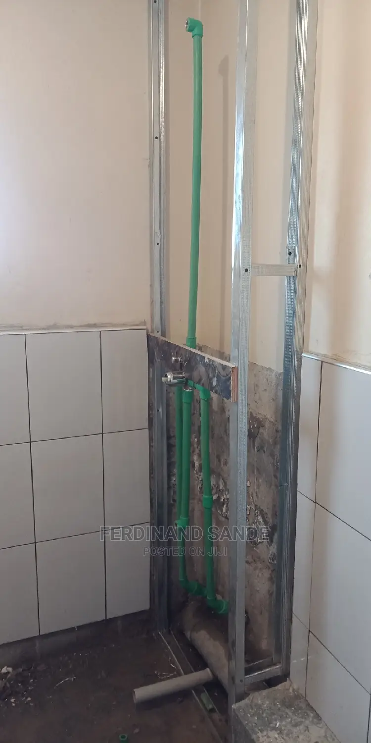 Professional Plumber