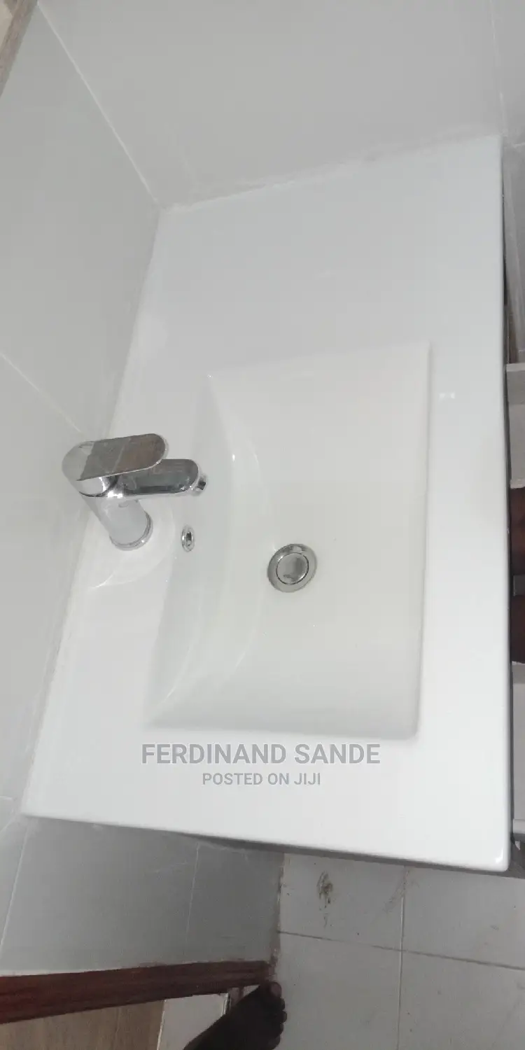 Professional Plumbing Work