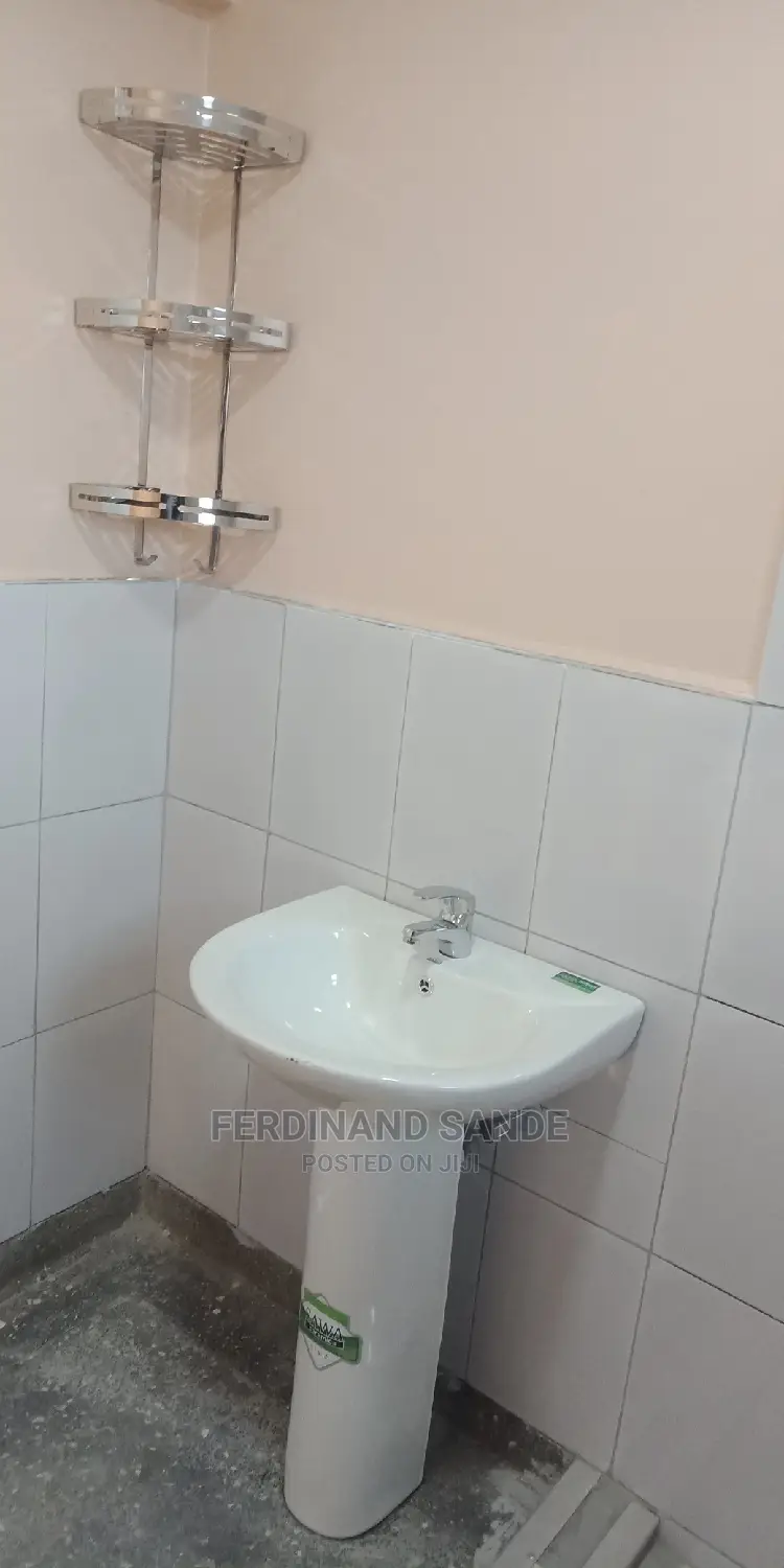 Professional Plumbing Work