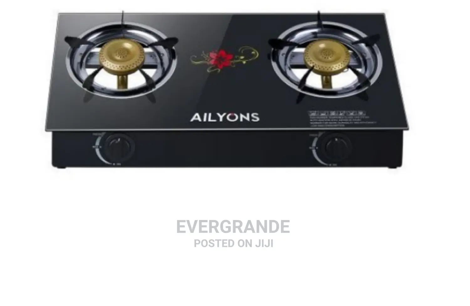 Table Top 2 Burner Glass Cooker