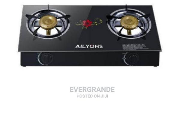 Table Top 2 Burner Glass Cooker