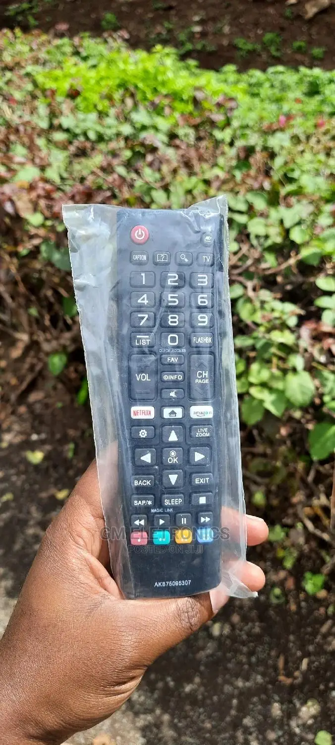 LG (AKB75095307) Replacement Remote.