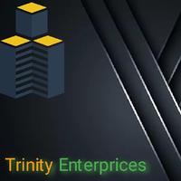 Trinity Enterprices logo