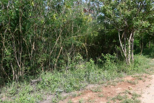 Kilifi Plantation One Acre Land - main view