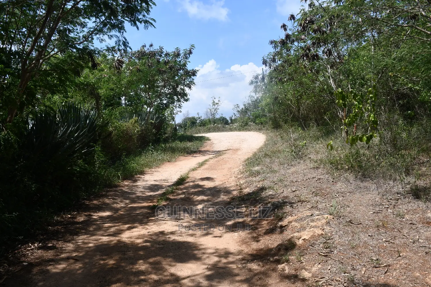 Kilifi Plantation One Acre Land