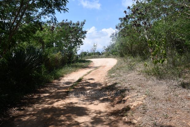Kilifi Plantation One Acre Land - thumbnail 4