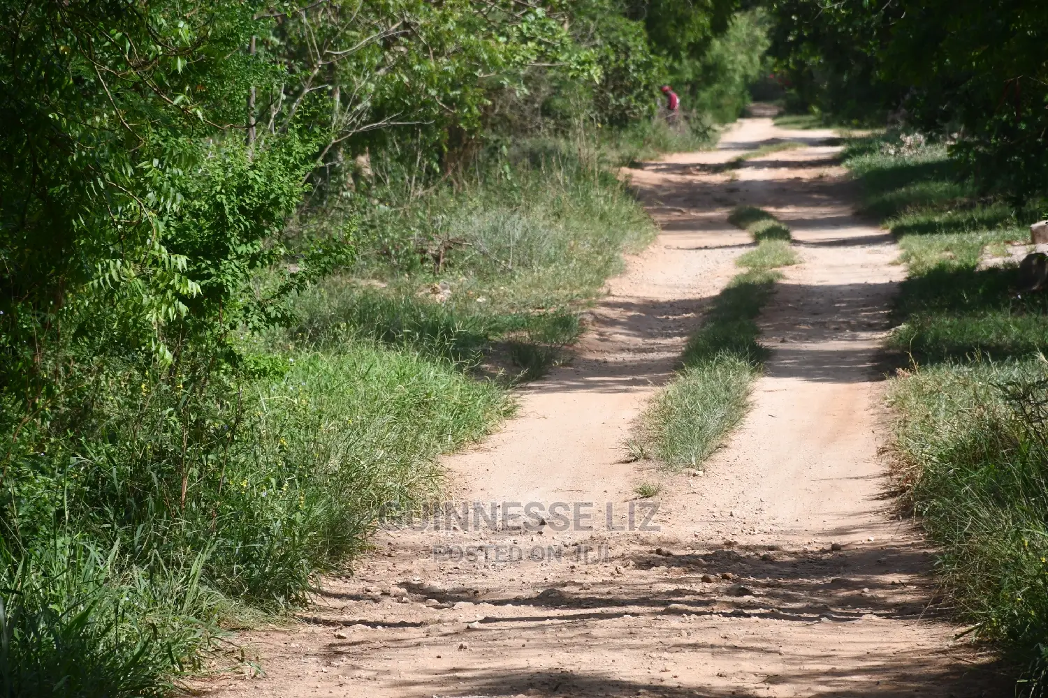Kilifi Plantation One Acre Land