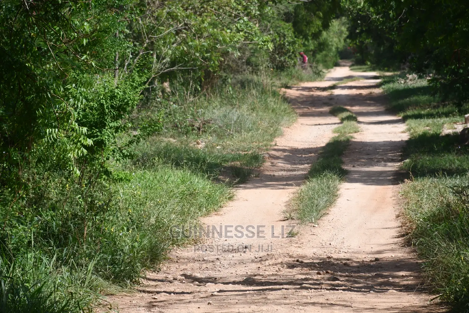 Kilifi Plantation One Acre Land