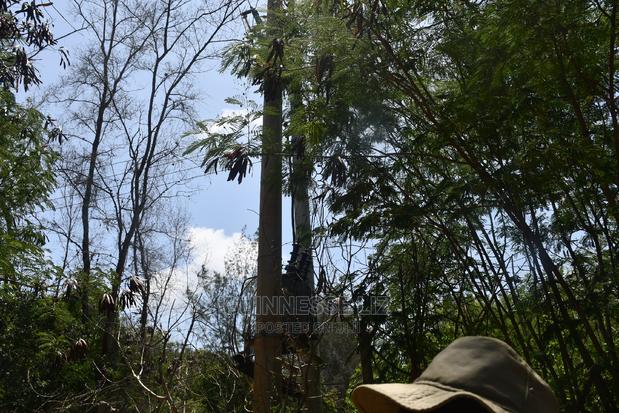 Kilifi Plantation One Acre Land - thumbnail 2