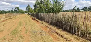 Several 1⁄4 Plots for Sale Marura Eldoret in Gated Community