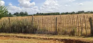 Several 1⁄4 Plots for Sale Marura Eldoret in Gated Community