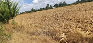 Several 1⁄4 Plots for Sale Marura Eldoret in Gated Community
