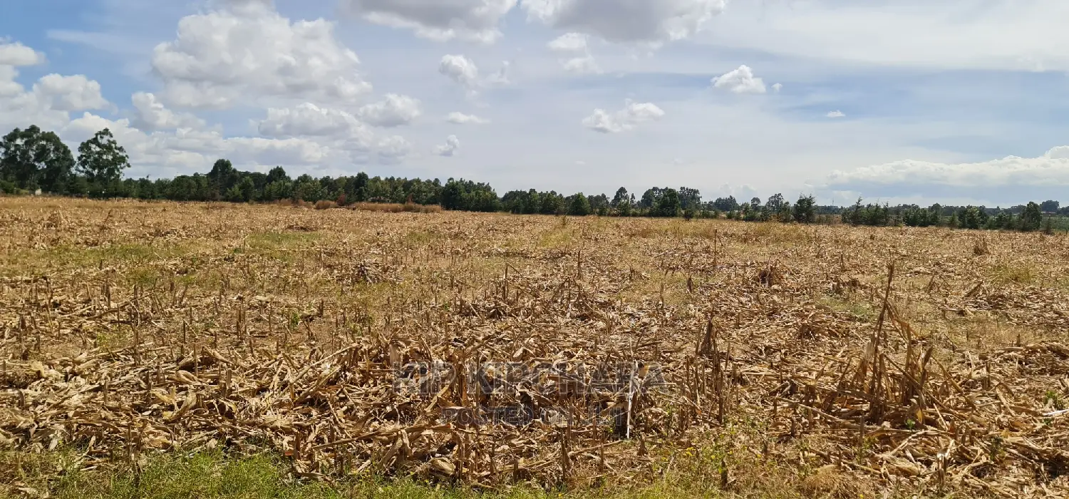 Several 1⁄4 Plots for Sale Marura Eldoret in Gated Community