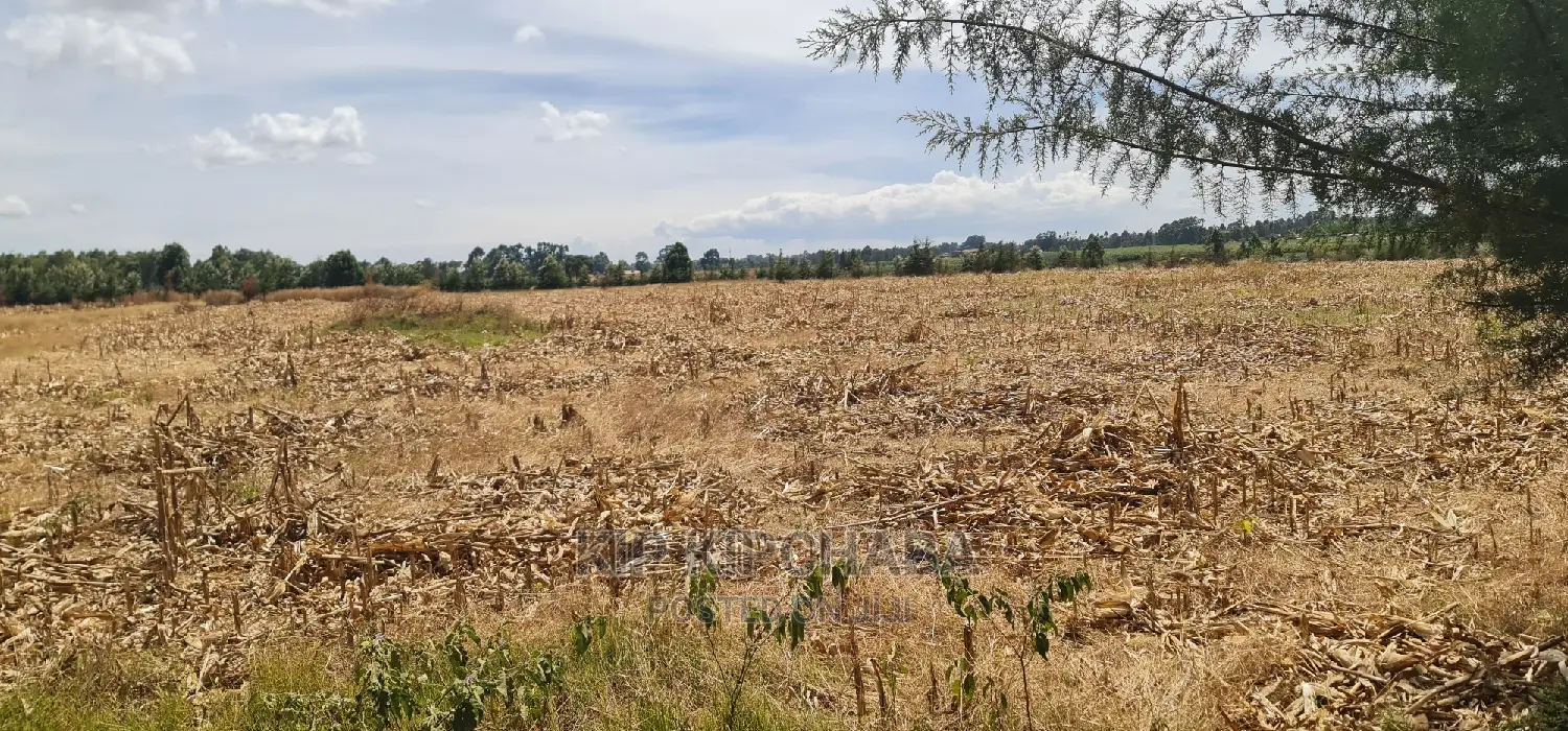 Several 1⁄4 Plots for Sale Marura Eldoret in Gated Community