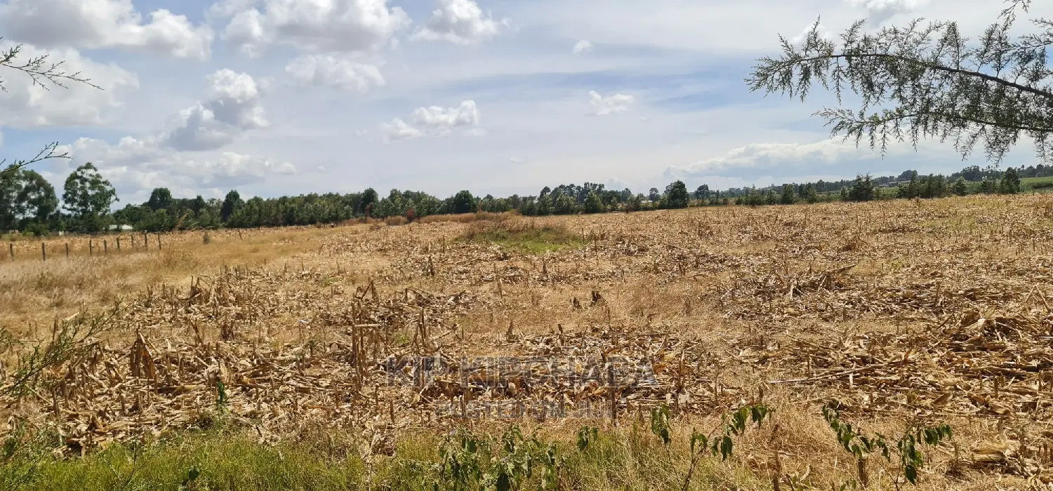 Several 1⁄4 Plots for Sale Marura Eldoret in Gated Community