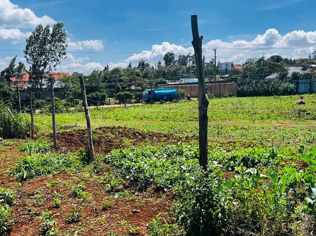 Prime Residential Plot for Sale in Kikuyu ,Gikambura. - thumbnail 8