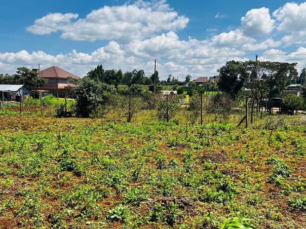 Prime Residential Plot for Sale in Kikuyu ,Gikambura. - thumbnail 14