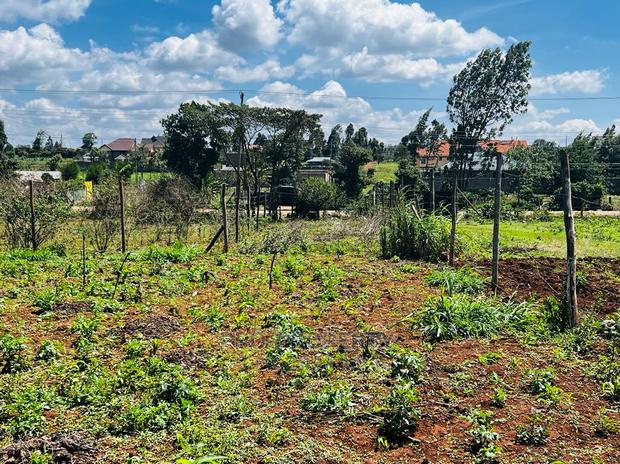Prime Residential Plot for Sale in Kikuyu ,Gikambura. - thumbnail 18