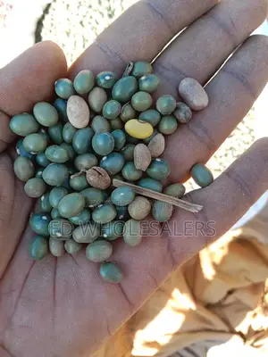 Army Green Beans