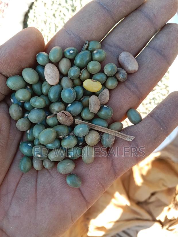 Army Green Beans
